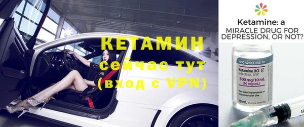 индика Киреевск