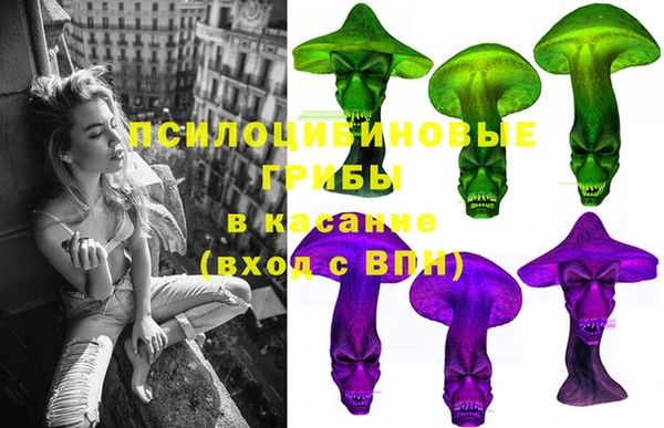 индика Киреевск