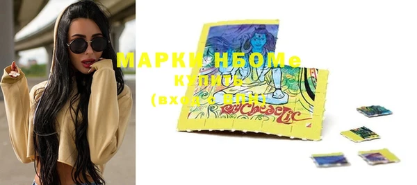 индика Киреевск