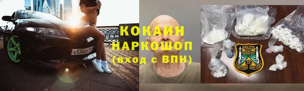 индика Киреевск