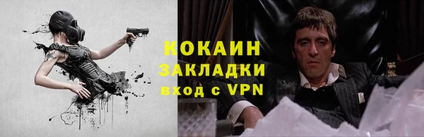 индика Киреевск