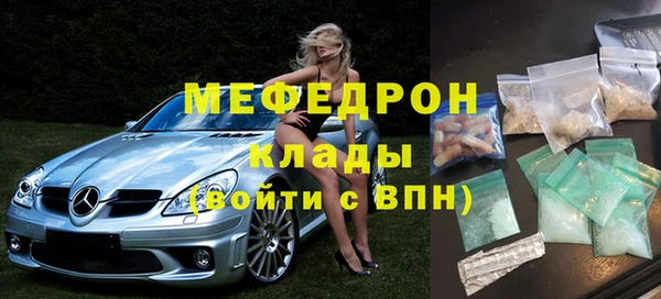 индика Киреевск