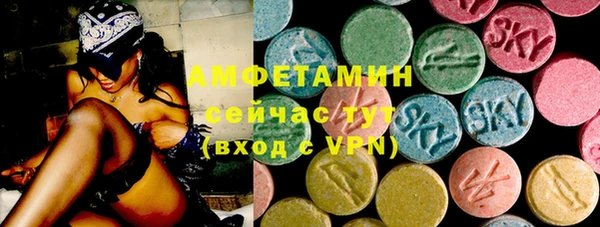 индика Киреевск