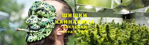 индика Киреевск