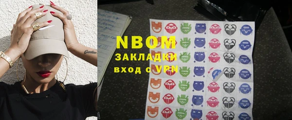 индика Киреевск