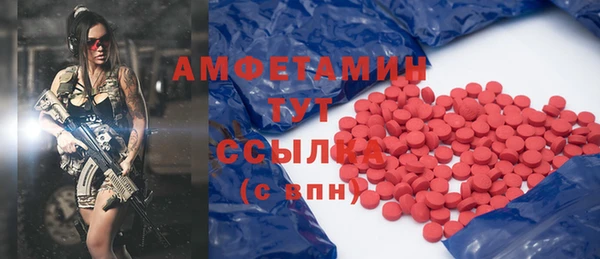 индика Киреевск