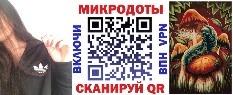 кракен сайт  Северск  Псилоцибиновые грибы Cubensis  купить  